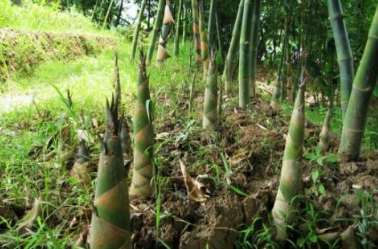 �����˲��˶������ ���˷������˺�����