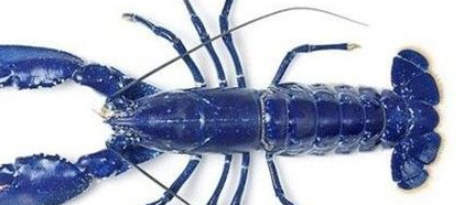 ��ϺͼƬ ��ͬ���������Լ�����Ϻ����