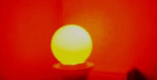 ��α��ⱻ����ҧ�������ǰ� ��Ч���õİ취