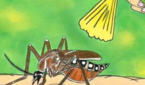 ��α��ⱻ����ҧ�������ǰ� ��Ч���õİ취