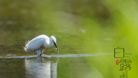 ��¶������ͼ ��¶ʱ�����кܶ�Ψ����ͼƬ