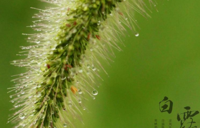 ��¶������ͼ ��¶ʱ�����кܶ�Ψ����ͼƬ