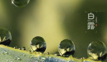 ��¶������ͼ ��¶ʱ�����кܶ�Ψ����ͼƬ