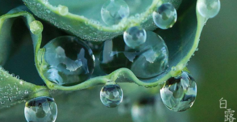 ��¶������ͼ ��¶ʱ�����кܶ�Ψ����ͼƬ