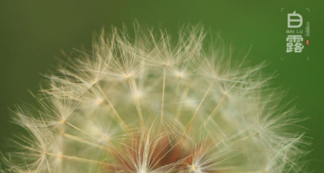 ��¶������ͼ ��¶ʱ�����кܶ�Ψ����ͼƬ