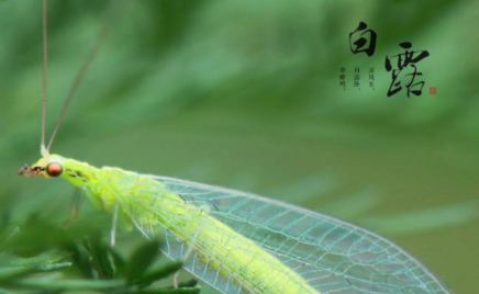 ��¶������ͼ ��¶ʱ�����кܶ�Ψ����ͼƬ