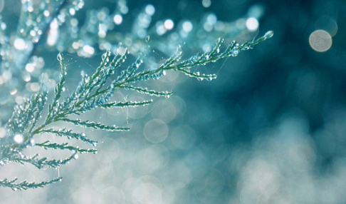 ��¶������ͼ ��¶ʱ�����кܶ�Ψ����ͼƬ