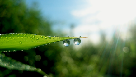 ��¶������ͼ ��¶ʱ�����кܶ�Ψ����ͼƬ