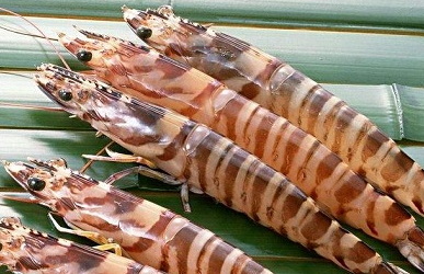 ��ϺͼƬ ��ͬ���������Լ�����Ϻ����