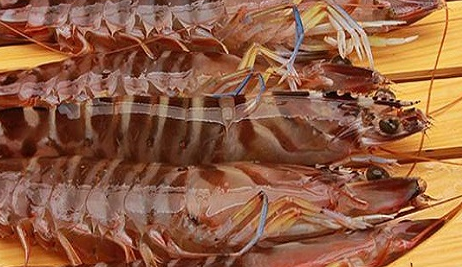 ��ϺͼƬ ��ͬ���������Լ�����Ϻ����