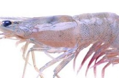 ��ϺͼƬ ��ͬ���������Լ�����Ϻ����