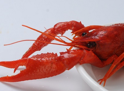 ��ϺͼƬ ��ͬ���������Լ�����Ϻ����