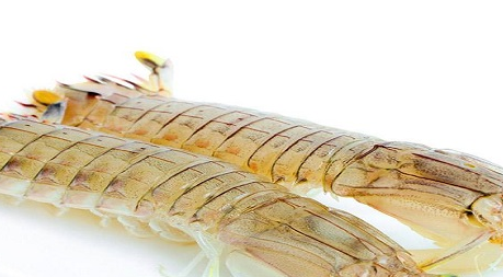 ��ϺͼƬ ��ͬ���������Լ�����Ϻ����