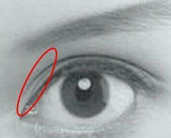 4��˫��Ƥ����ͼƬ