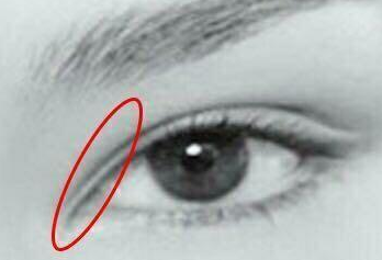 4��˫��Ƥ����ͼƬ