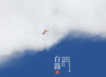 ��¶������ͼ ��¶ʱ�����кܶ�Ψ����ͼƬ