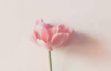 �������������ĸ��� ��һ���֣���