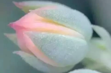 �������������ĸ��� ��һ���֣���