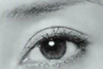 4��˫��Ƥ����ͼƬ