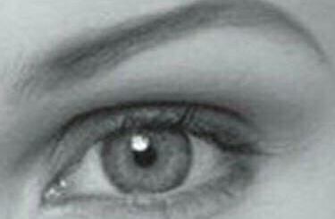 4��˫��Ƥ����ͼƬ