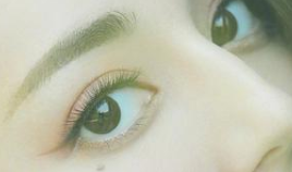 4��˫��Ƥ����ͼƬ