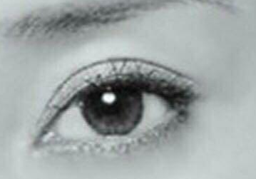 4��˫��Ƥ����ͼƬ