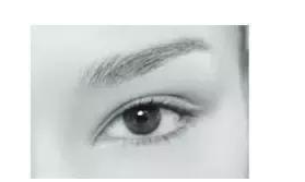 4��˫��Ƥ����ͼƬ