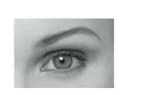 4��˫��Ƥ����ͼƬ