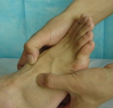 �����ַ������ѧ��ȫ ָ�Ż���ѹ��