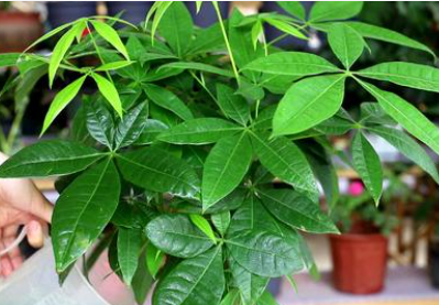 ����λ��ʲô������ ��������λ��ʲô������