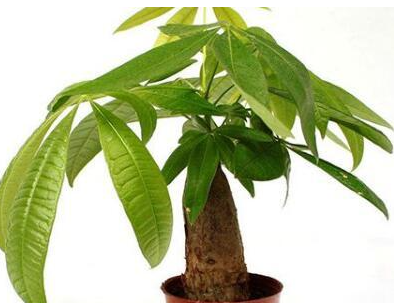 ����λ��ʲô������ ��������λ��ʲô������