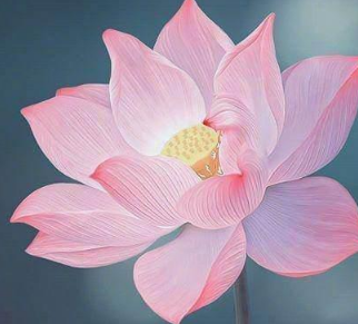 ��ȥ������ô��ο��� ȥ����ο����������ô����