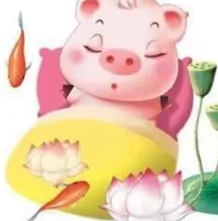 属猪女的命运 属猪女人几点出生好