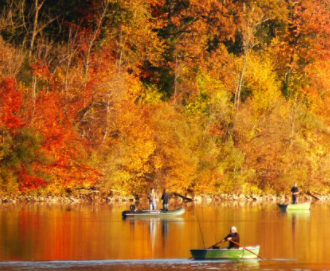 �����õ����һ����ʲô��Ӧ �氮�������