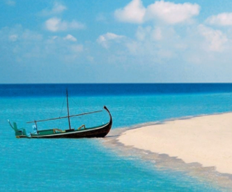 �����õ����һ����ʲô��Ӧ �氮�������