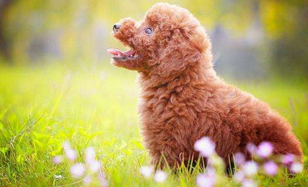 ������Ĺ����� ��Щ�����ճ��������Ǻܴ�����