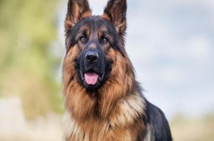 ������Ĺ����� ��Щ�����ճ��������Ǻܴ�����