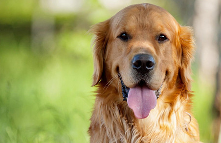 ������Ĺ����� ��Щ�����ճ��������Ǻܴ�����