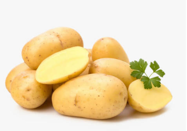 ������͵���ʳ���� �����ڶ��ľ���������