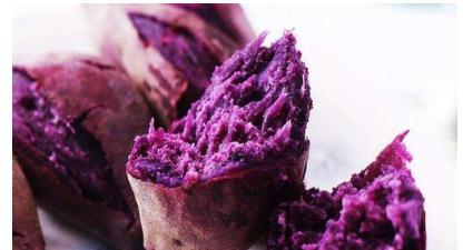 ������͵���ʳ���� �����ڶ��ľ���������