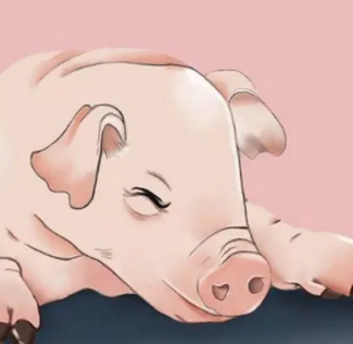 属猪女的命运 属猪女人几点出生好