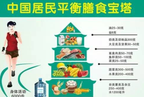 Ӫ������ʳ����֪ʶ ���Ľ�����С֪ʶ