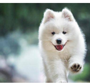 �������кܶ�����Ĺ��� ������������