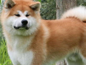 �������кܶ�����Ĺ��� ������������