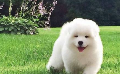 �������кܶ�����Ĺ��� ������������