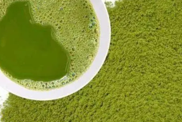 ���Զ���ݮ�� ���ǼӺ��ȥ��ͷ