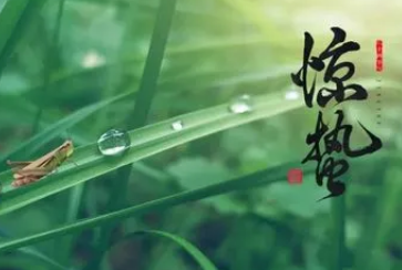 ������������ ����Ԣ����ʲô��˼