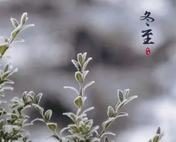 �����ڵĹ�ʫ15�� ��һ����ض��в�һ����ϰ��