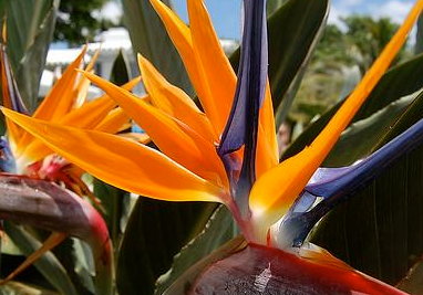 �����Ļ� �ʻ��Ǵ���Ȼ������������������