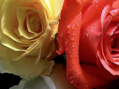 �����Ļ� �ʻ��Ǵ���Ȼ������������������